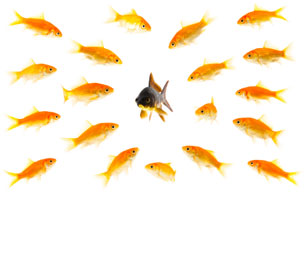 Today’s challenges for new professionals